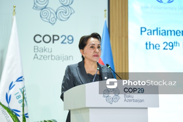 COP29 çərçivəsində keçirilən Parlament Görüşü