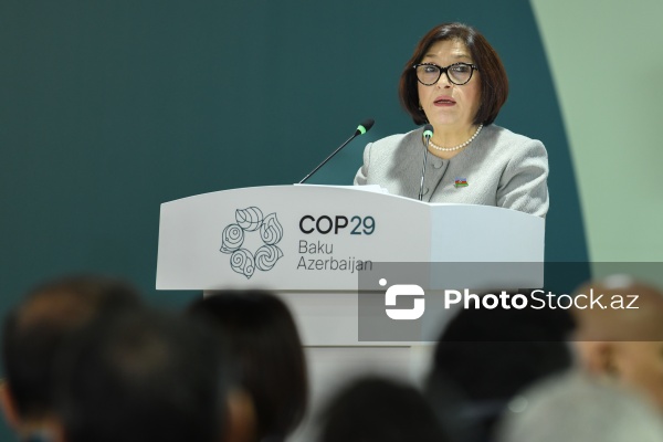 COP29 çərçivəsində keçirilən Parlament Görüşü