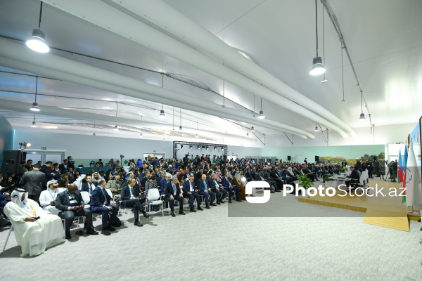 COP29 çərçivəsində keçirilən Parlament Görüşü