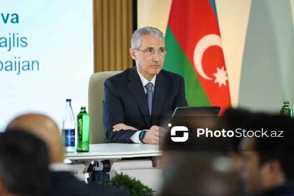 COP29 çərçivəsində keçirilən Parlament Görüşü