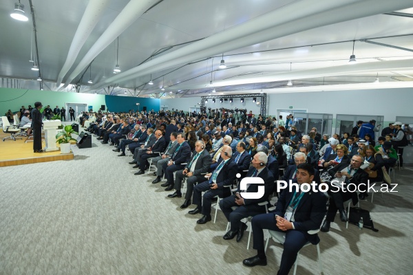 COP29 çərçivəsində keçirilən Parlament Görüşü