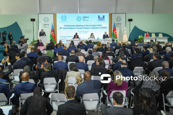 COP29 çərçivəsində keçirilən Parlament Görüşü