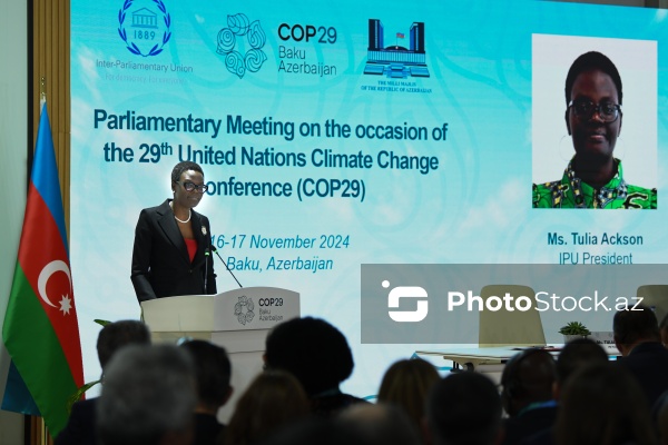 COP29 çərçivəsində keçirilən Parlament Görüşü