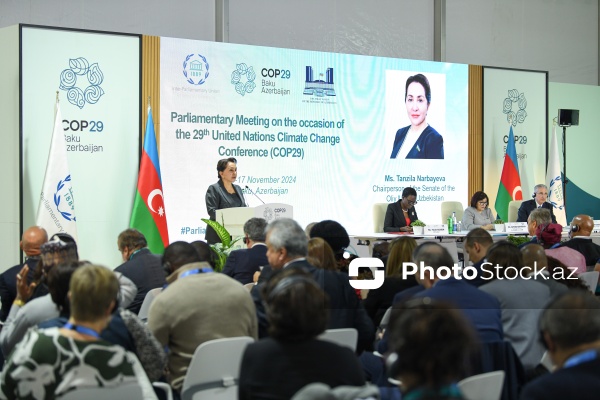 COP29 çərçivəsində keçirilən Parlament Görüşü