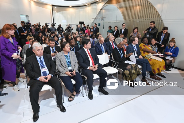 COP29-da iqlim dəyişmələri kontekstində insanların yerdəyişməsi ilə bağlı yüksəksəviyyəli panel iclası