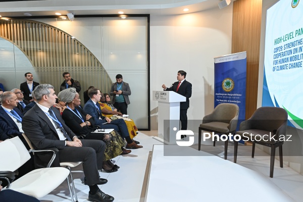 COP29-da iqlim dəyişmələri kontekstində insanların yerdəyişməsi ilə bağlı yüksəksəviyyəli panel iclası