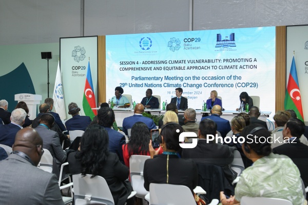 Bakıda COP29 çərçivəsində keçirilən Parlament Görüşünün ikinci günü