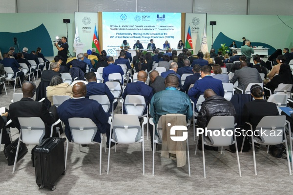 Bakıda COP29 çərçivəsində keçirilən Parlament Görüşünün ikinci günü