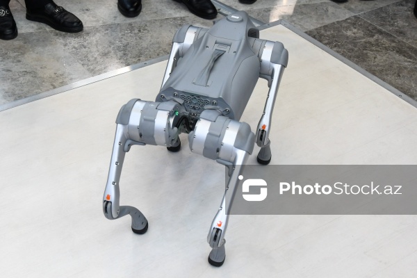 "Critical Infrastructure Defence Challenge" kibertəhlükəsizlik festivalının ikinci günü