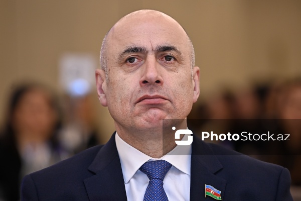 Azər Badamov - "Dayanıqlı inkişaf: ailə, qadın və uşaq siyasəti" mövzusunda keçirilən konfransda