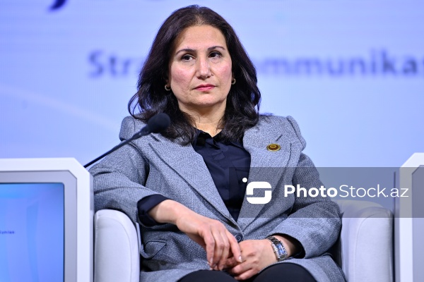 "Dayanıqlı inkişaf: ailə, qadın və uşaq siyasəti" mövzusunda keçirilən konfrans