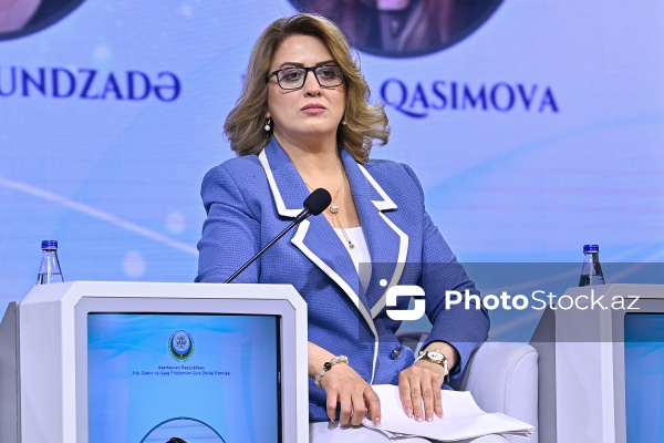 Aytəkin Aslan - "Dayanıqlı inkişaf: ailə, qadın və uşaq siyasəti" mövzusunda keçirilən konfransda