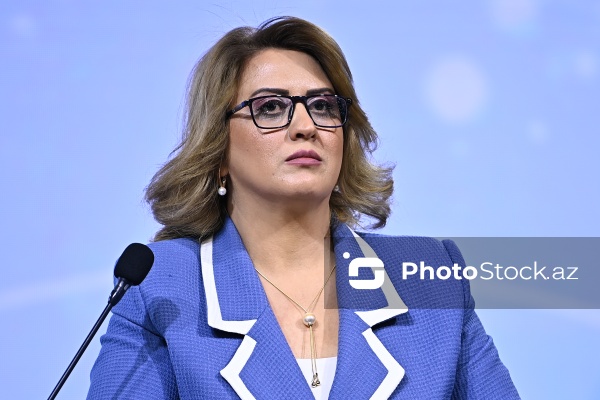 "Dayanıqlı inkişaf: ailə, qadın və uşaq siyasəti" mövzusunda keçirilən konfrans