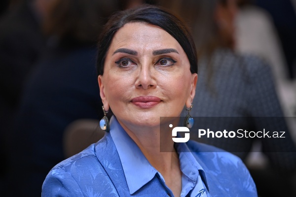 "Dayanıqlı inkişaf: ailə, qadın və uşaq siyasəti" mövzusunda keçirilən konfrans