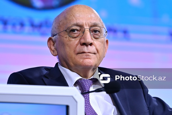 "Dayanıqlı inkişaf: ailə, qadın və uşaq siyasəti" mövzusunda keçirilən konfrans