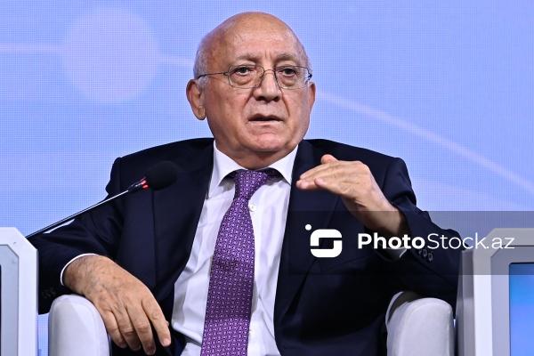Mübariz Qurbanlı - "Dayanıqlı inkişaf: ailə, qadın və uşaq siyasəti" mövzusunda keçirilən konfransda