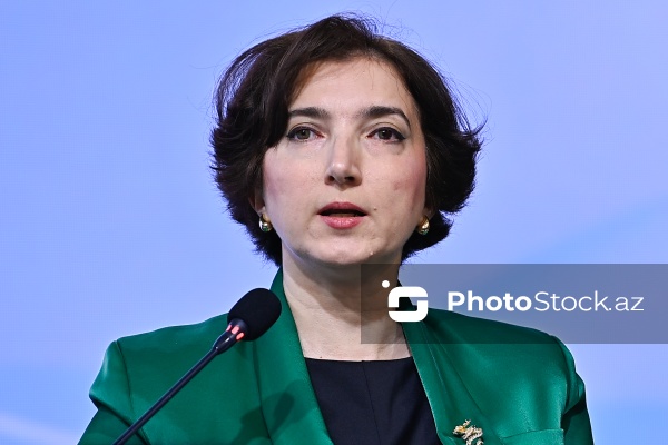 "Dayanıqlı inkişaf: ailə, qadın və uşaq siyasəti" mövzusunda keçirilən konfrans