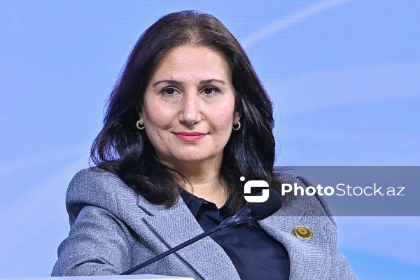 Taliyə İbrahimova - "Dayanıqlı inkişaf: ailə, qadın və uşaq siyasəti" mövzusunda keçirilən konfransda