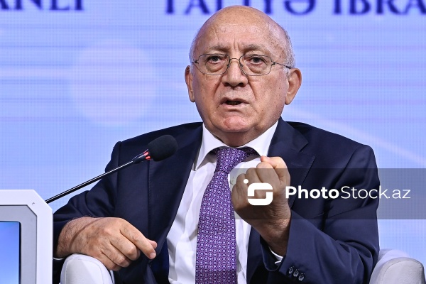 Mübariz Qurbanlı - "Dayanıqlı inkişaf: ailə, qadın və uşaq siyasəti" mövzusunda keçirilən konfransda