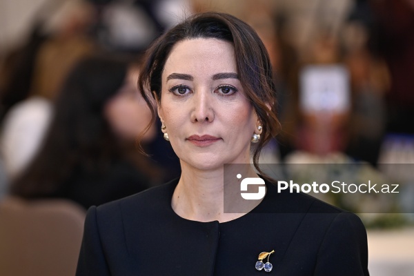 "Dayanıqlı inkişaf: ailə, qadın və uşaq siyasəti" mövzusunda keçirilən konfrans