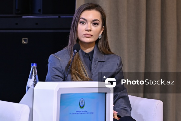 Esmira Qasımova - "Dayanıqlı inkişaf: ailə, qadın və uşaq siyasəti" mövzusunda keçirilən konfransda