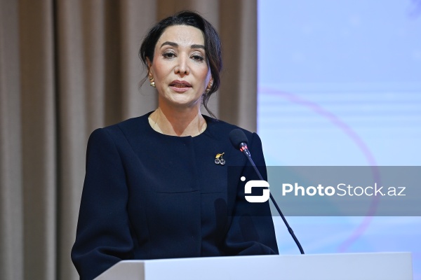 "Dayanıqlı inkişaf: ailə, qadın və uşaq siyasəti" mövzusunda keçirilən konfrans