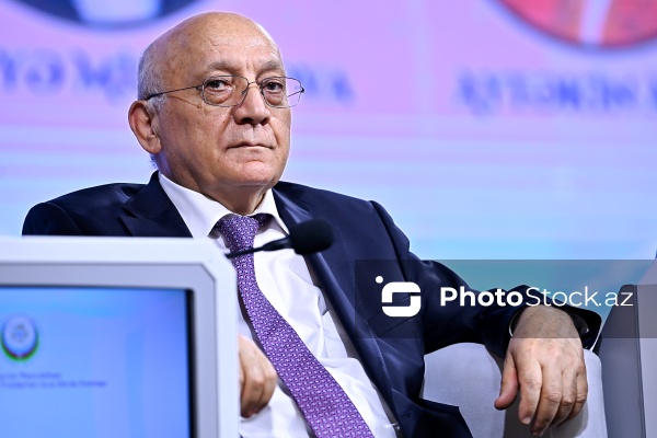 "Dayanıqlı inkişaf: ailə, qadın və uşaq siyasəti" mövzusunda keçirilən konfrans