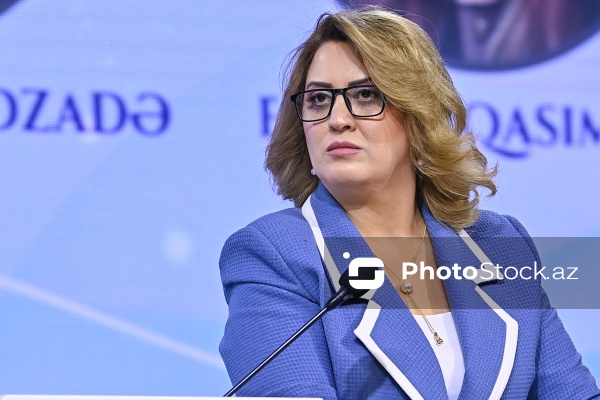 Aytəkin Aslan - "Dayanıqlı inkişaf: ailə, qadın və uşaq siyasəti" mövzusunda keçirilən konfransda