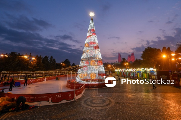 Dənizkənarı Milli Parkda açılan Yeni il yarmarkası