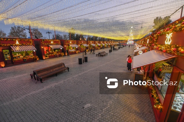 Dənizkənarı Milli Parkda açılan Yeni il yarmarkası