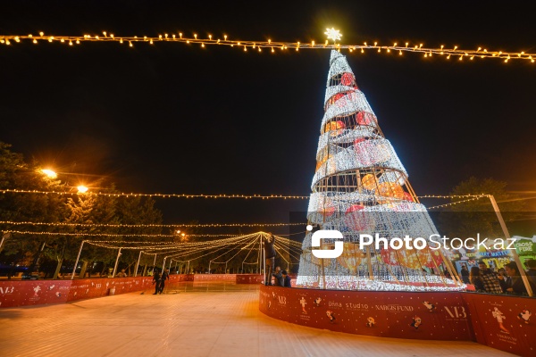 Dənizkənarı Milli Parkda açılan Yeni il yarmarkası