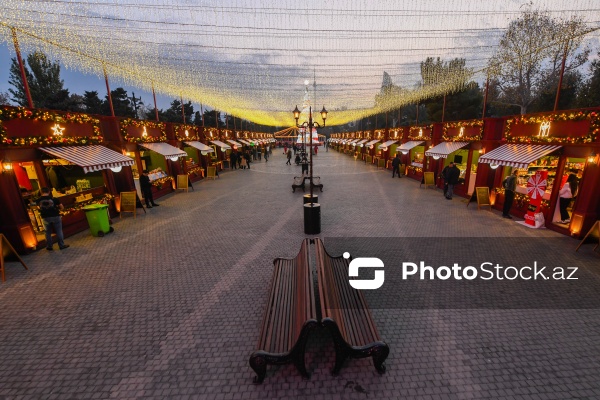 Dənizkənarı Milli Parkda açılan Yeni il yarmarkası