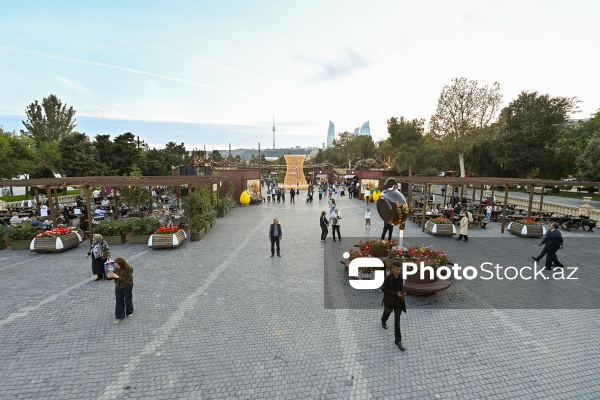 Dənizkənarı Milli Parkda keçirilən Çay Festivalı