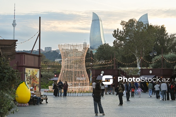 Dənizkənarı Milli Parkda keçirilən Çay Festivalı