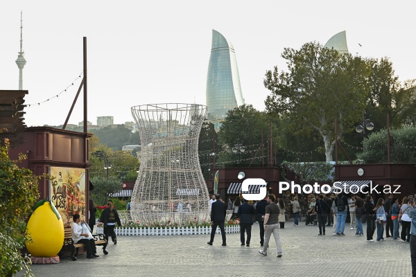 Dənizkənarı Milli Parkda keçirilən Çay Festivalı
