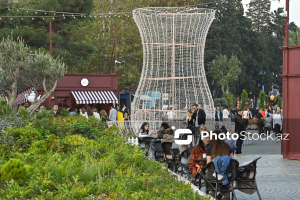 Dənizkənarı Milli Parkda keçirilən Çay Festivalı