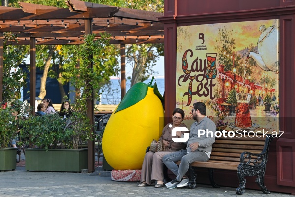 Dənizkənarı Milli Parkda keçirilən Çay Festivalı