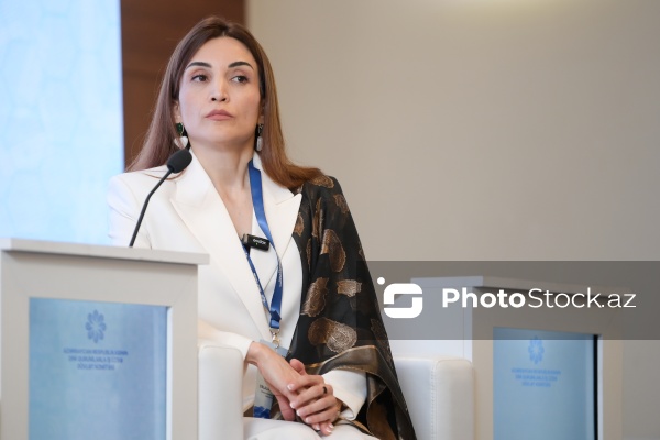 Cəlalə Nəzəroğlu - "Dini mövzuların mediada təqdimatı: dini sabitliyin qorunmasında birgə məsuliyyət" mövzusunda konfransda