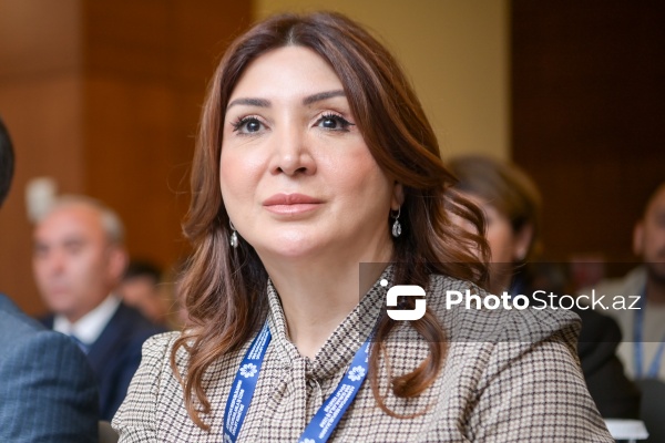 Aynur Camalqızı - "Dini mövzuların mediada təqdimatı: dini sabitliyin qorunmasında birgə məsuliyyət" mövzusunda konfransda