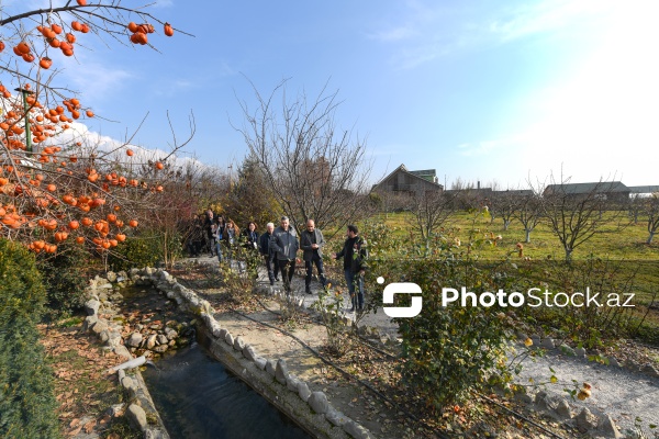 Dövlət Turizm Agentliyinin Şəki şəhərinə təşkil etdiyi mediatur