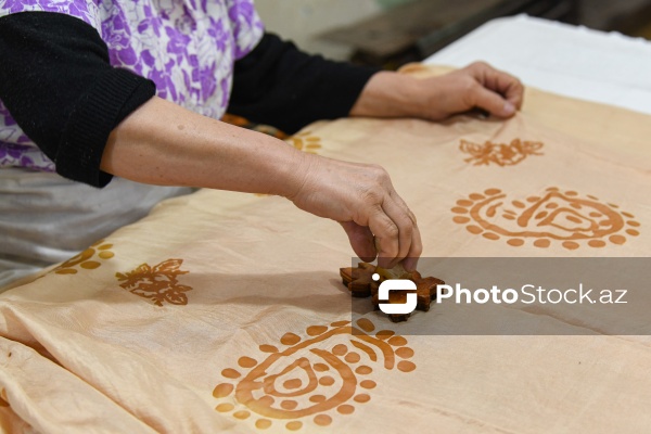 Dövlət Turizm Agentliyinin Şəki şəhərinə təşkil etdiyi mediatur