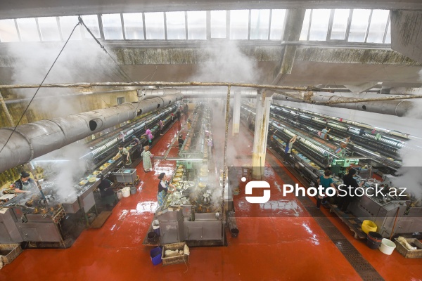 Dövlət Turizm Agentliyinin Şəki şəhərinə təşkil etdiyi mediatur