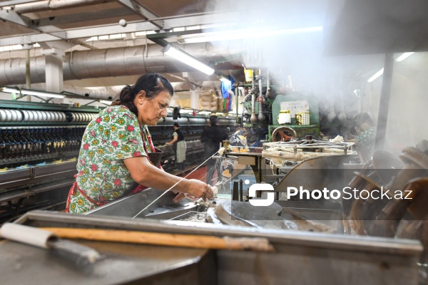 Dövlət Turizm Agentliyinin Şəki şəhərinə təşkil etdiyi mediatur