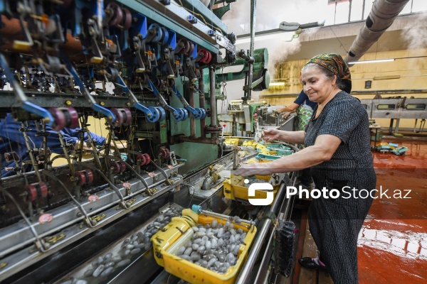 Dövlət Turizm Agentliyinin Şəki şəhərinə təşkil etdiyi mediatur