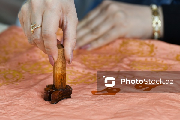 Dövlət Turizm Agentliyinin Şəki şəhərinə təşkil etdiyi mediatur