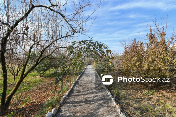 Dövlət Turizm Agentliyinin Şəki şəhərinə təşkil etdiyi mediatur