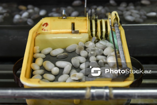 Dövlət Turizm Agentliyinin Şəki şəhərinə təşkil etdiyi mediatur