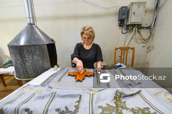 Dövlət Turizm Agentliyinin Şəki şəhərinə təşkil etdiyi mediatur