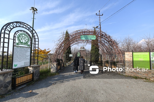 Dövlət Turizm Agentliyinin Şəki şəhərinə təşkil etdiyi mediatur