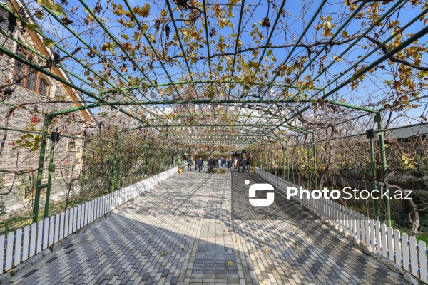 Dövlət Turizm Agentliyinin Şəki şəhərinə təşkil etdiyi mediatur